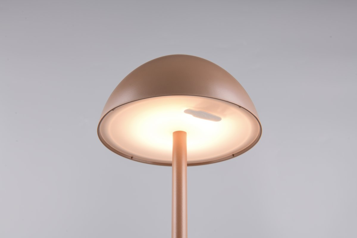 Ricardo 30cm Hellbraun tragbare Von Trio Lighting - Ricardo ist eine stilvolle tragbare Tischlampe für den Außenbereich.
