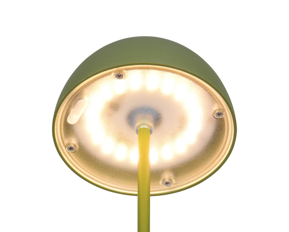 Ortiz 20cm Grün tragbare Von Trio Lighting - 