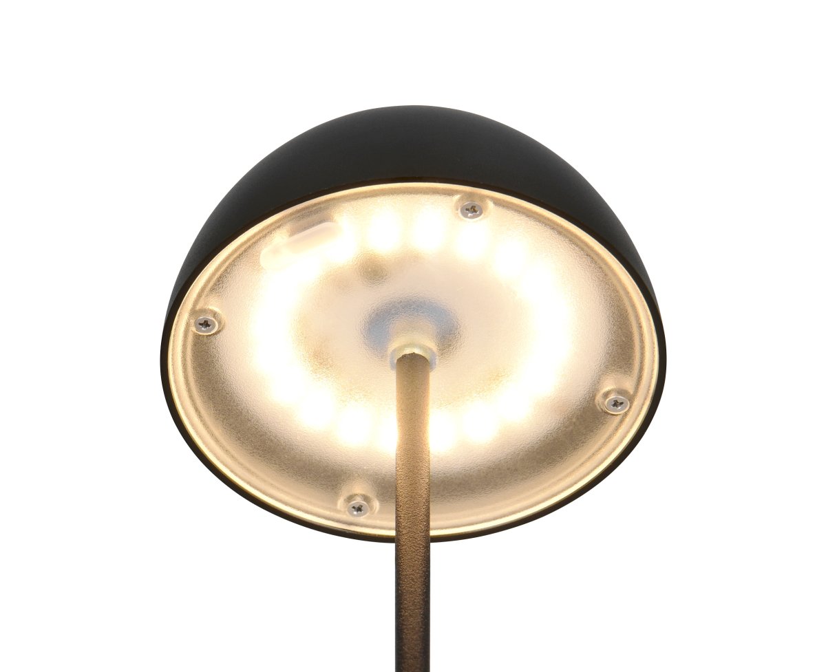 Ortiz 20cm Schwarz tragbare Von Trio Lighting - 