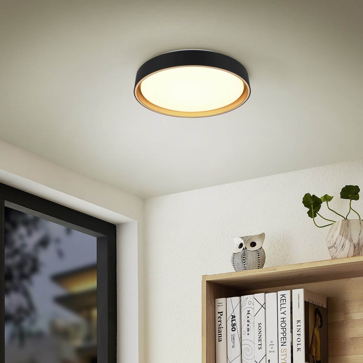 Felis Ø40 Schwarz deckenleuchte Von Trio Lighting - Die energieeffiziente LED-Technologie spart bis zu 80 % der Energiekosten und bietet eine lange Lebensdauer bei geringer W&auml;rmeentwicklung &ndash; eine intelligente und umweltfreundliche L&ouml;sung f&uuml;r Ihr Zuhause.